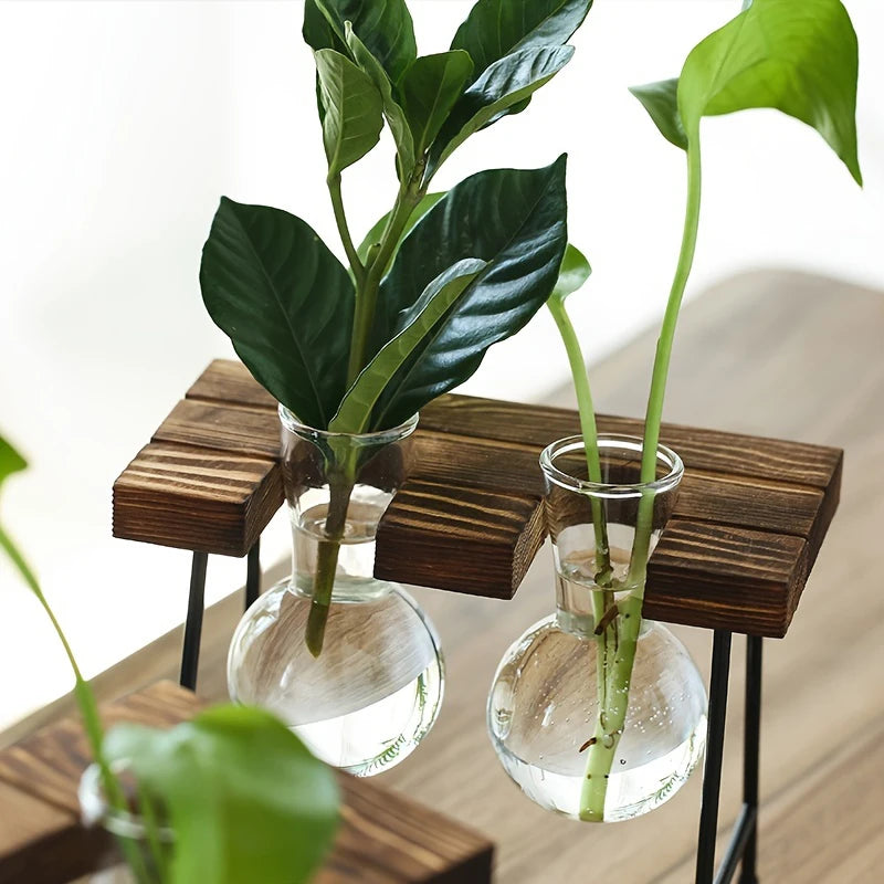 Plant pot - Creative Wooden Frame