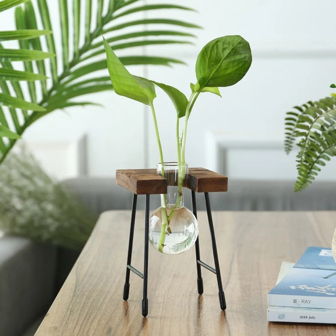 Plant pot - Creative Wooden Frame
