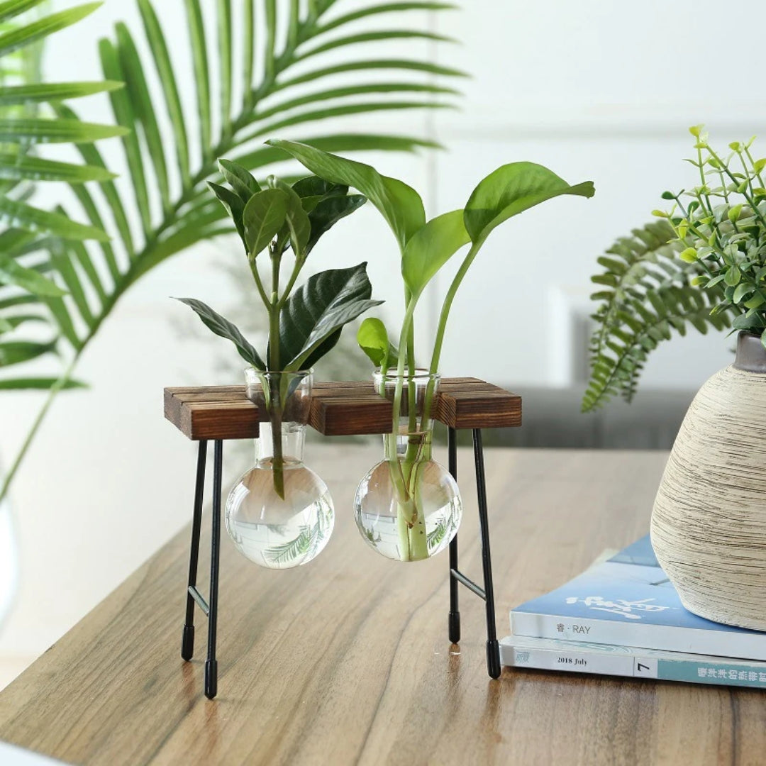 Plant pot - Creative Wooden Frame