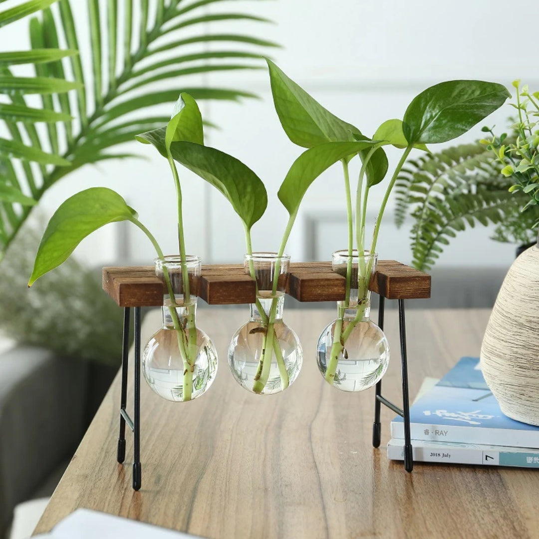 Plant pot - Creative Wooden Frame