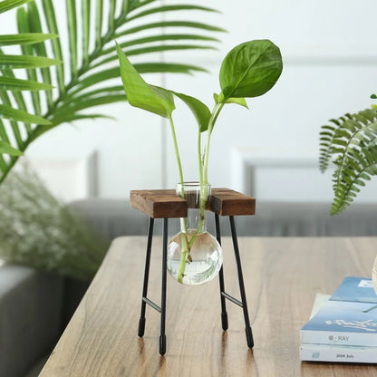 Plant pot - Creative Wooden Frame