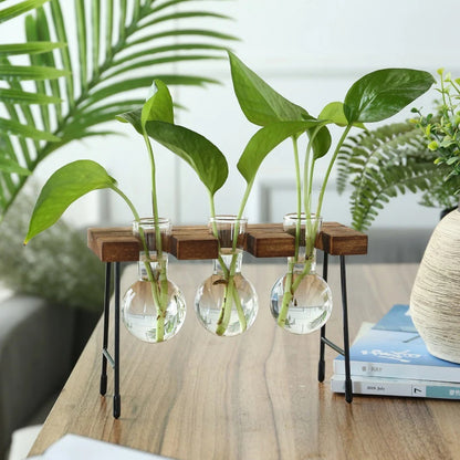Plant pot - Creative Wooden Frame